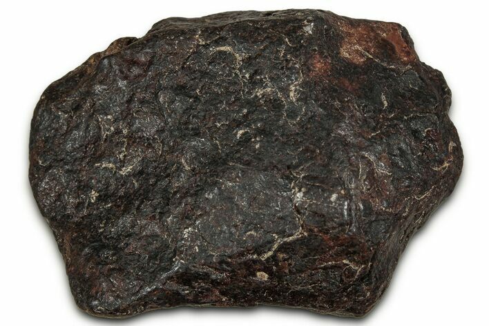 Canyon Diablo Iron Meteorite ( g) - Arizona #356039